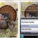 6 gotta-have iPhone apps for Thanksgiving