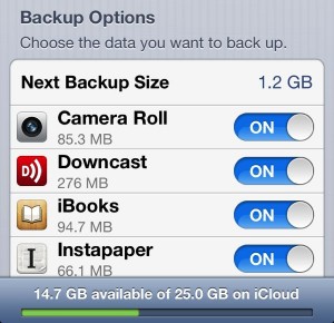 iCloud Backup options 300x290 iCloud tip: Whats hogging all your backup space? (reader mail)