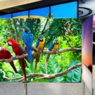 LG 55-inch OLED TV