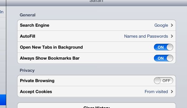 safari browser ipad settings