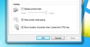 Mouse pointer options