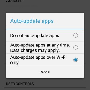 Google Play Store auto-update settings