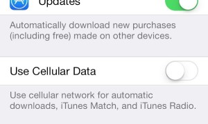 iOS 7 cellular data for iTunes store setting