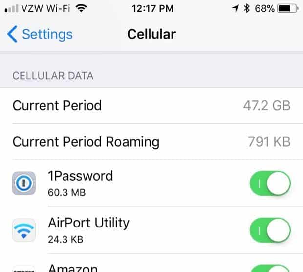 iPhone Cellular Data usage