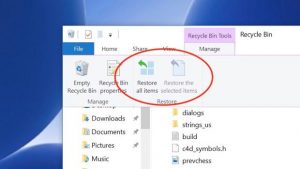 Windows Recycle Bin restore all items