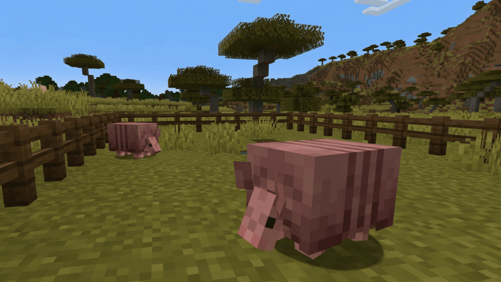 Two armadillos inside a wooden fence enclosure in a Minecraft savanna biome with acacia trees.