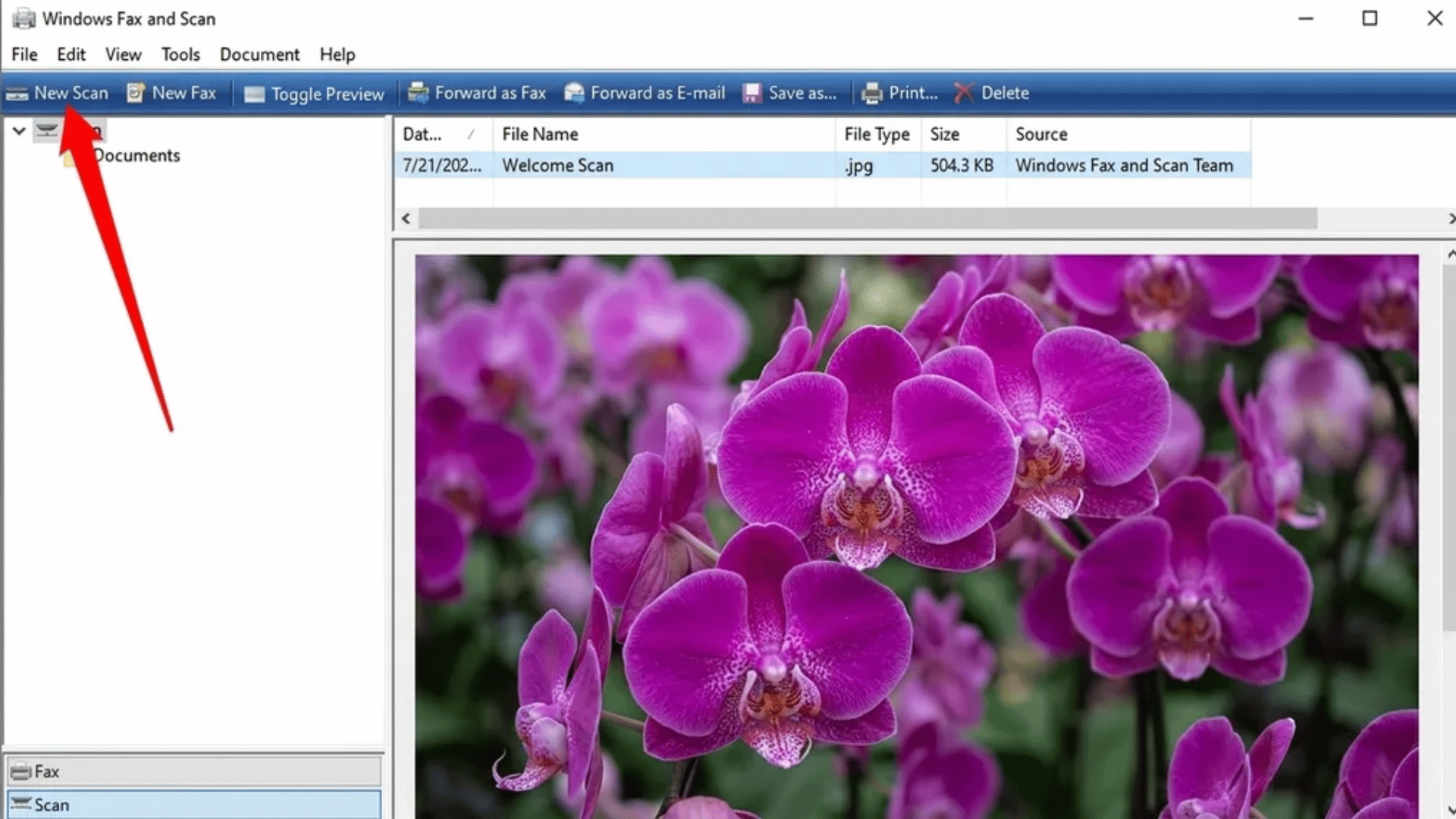 Windows Fax and Scan interface showing orchid photo preview with red arrow pointing to the New Scan button in the top toolbar.