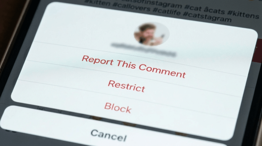 Instagram comment options menu showing Report This Comment, Restrict, Block, and Cancel buttons.