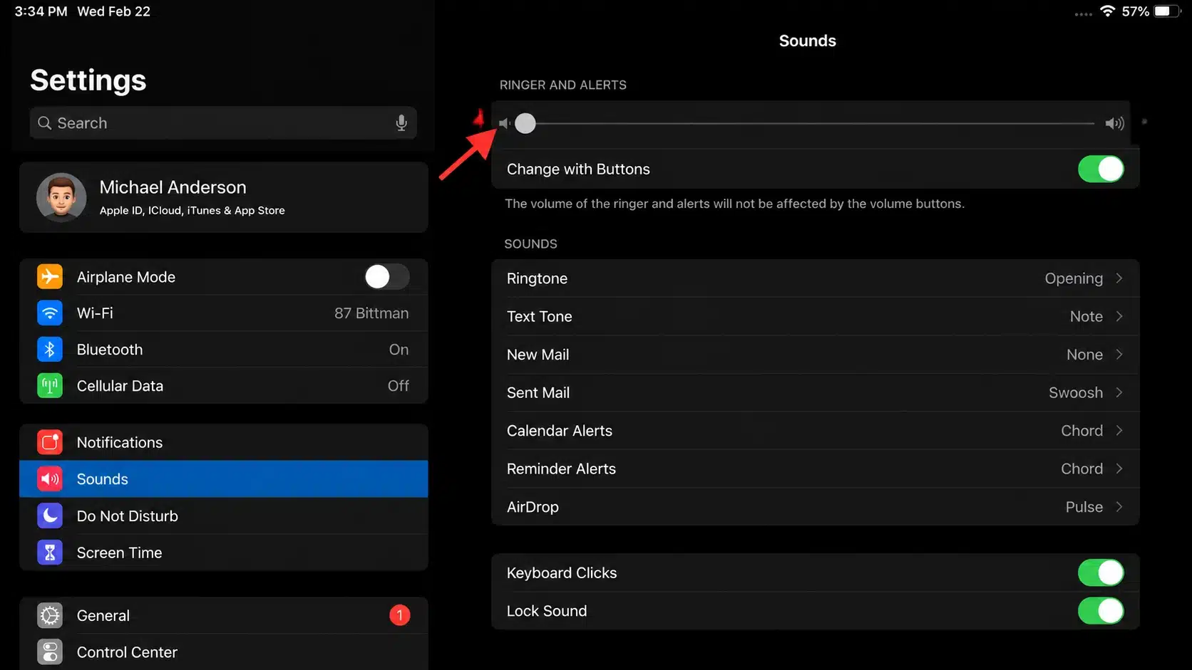 ipad sounds settings showing ringer and alerts slider lowered to mute sound