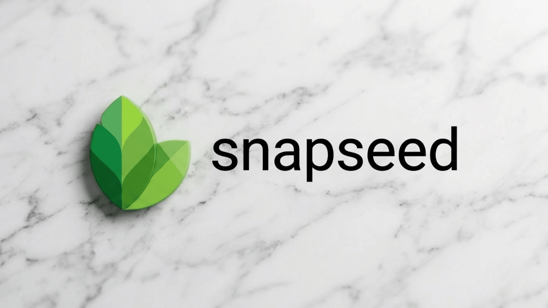 Snapseed logo with green leaf icon and black text on a marble background.